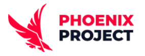 Професійне SEO просування спеціалістами з компанії Phoenix Project